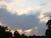 DSC09543.webp