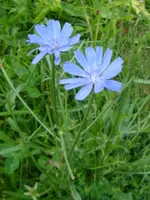 DSC09567.webp