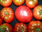 12.08.09-tomaten-heirloom-black-f1.jpg