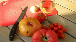 DSCN3474.webp