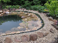Teich 1.webp
