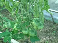 k-BILD1327.webp