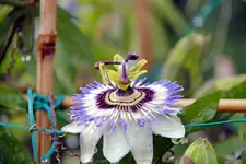 _MG_2567_bearbeitet-1.webp