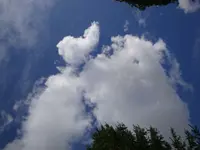 DSC09603.webp