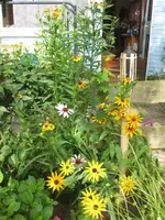 IMG_4686.webp
