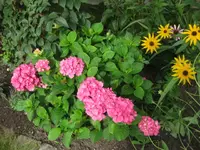 IMG_4687.webp