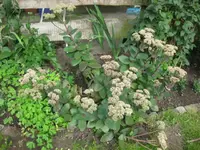 IMG_4688.webp
