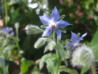 IMG_4713.webp