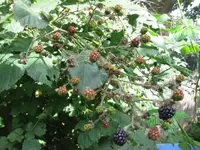 IMG_4717.webp