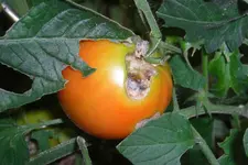 CIMG4640neu.webp