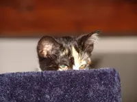 11301575df.webp