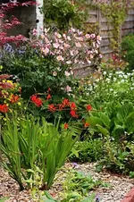 linkes Vorgartenbeet_500.webp