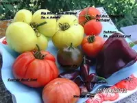 BILD0574.webp