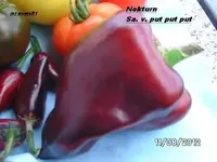BILD0582.webp