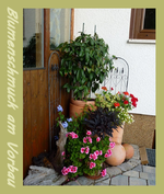Blumenschmuck am Vorbau.webp