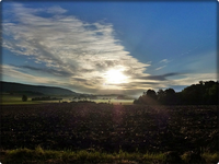 Natur am Morgen.webp