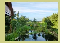 Teich.webp