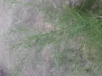20120811_195520.webp