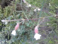 20120811_195835.webp