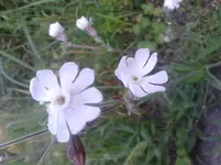 20120811_195637.webp