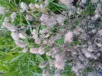 20120811_200011.webp