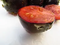 tomato_indigo_rose_3.webp