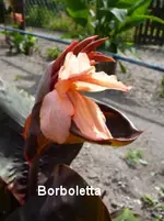 18.webp