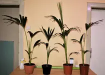 _DSC0319.webp