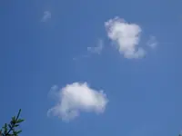 DSC09673.webp