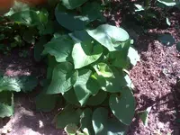 Foto22.webp
