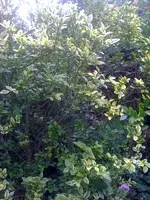 Foto 21.webp
