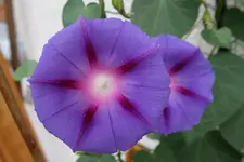 web_Juli0057.webp