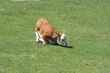 2012_0810Sommer0030.webp