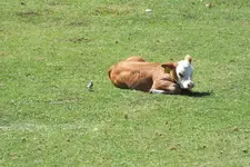 2012_0810Sommer0031.webp