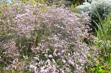 2012_0812Sommer0002.webp