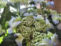 021.webp