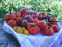 BILD0595.webp