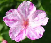 web_IMG_3181.webp