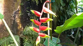 DSCN3519.webp