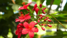 DSCN3523.webp