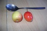 chippichip 033.jpg