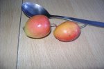 chippichip 034.jpg