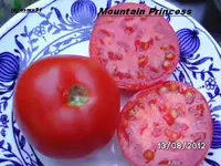 BILD0604.webp