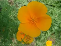 DSC09559.webp