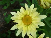 DSC09564.webp