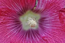 DSC_6016.webp