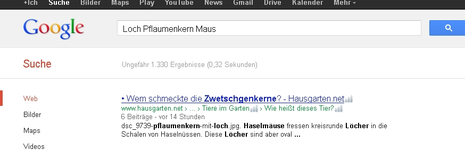 Goggelweit.webp