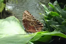 2012_0810Sommer0075.webp
