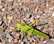 _DSC0326.webp