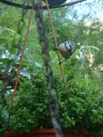 DSC09731.webp